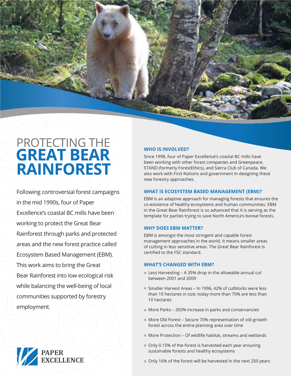 Protecting the Great Bear Rainforest