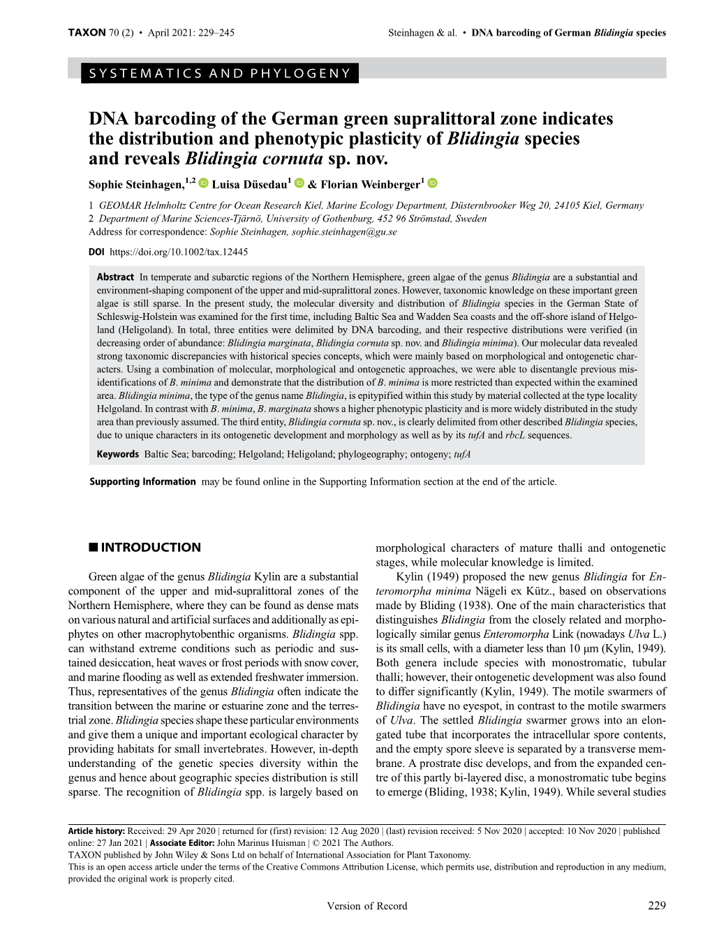 DNA Barcoding of the German Green Supralittoral Zone Indicates the Distribution and Phenotypic Plasticity of Blidingia Species and Reveals Blidingia Cornuta Sp