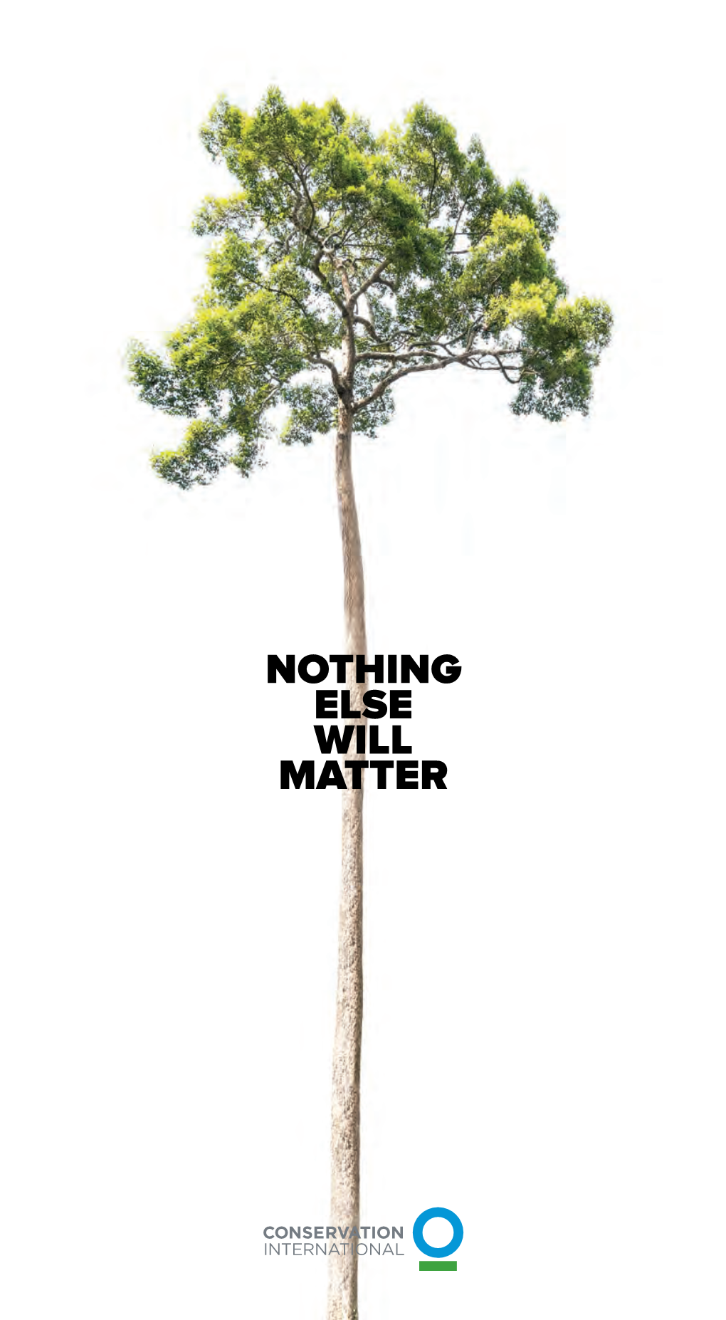 Nothing Else Will Matter