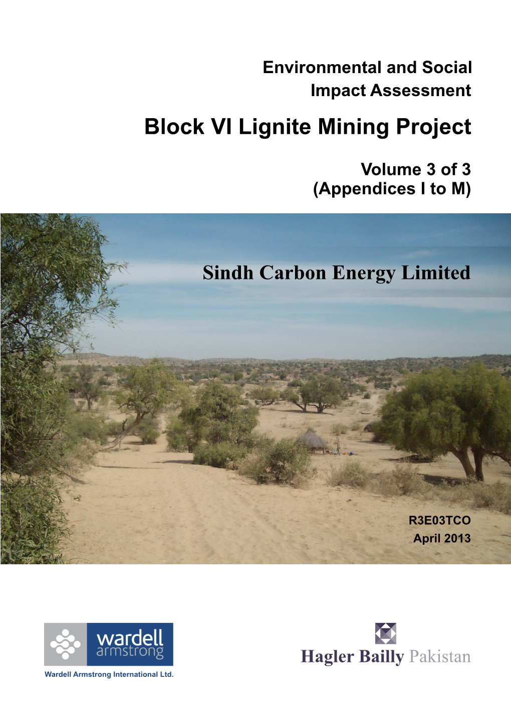 ESIA of Block VI Lignite Mining Project