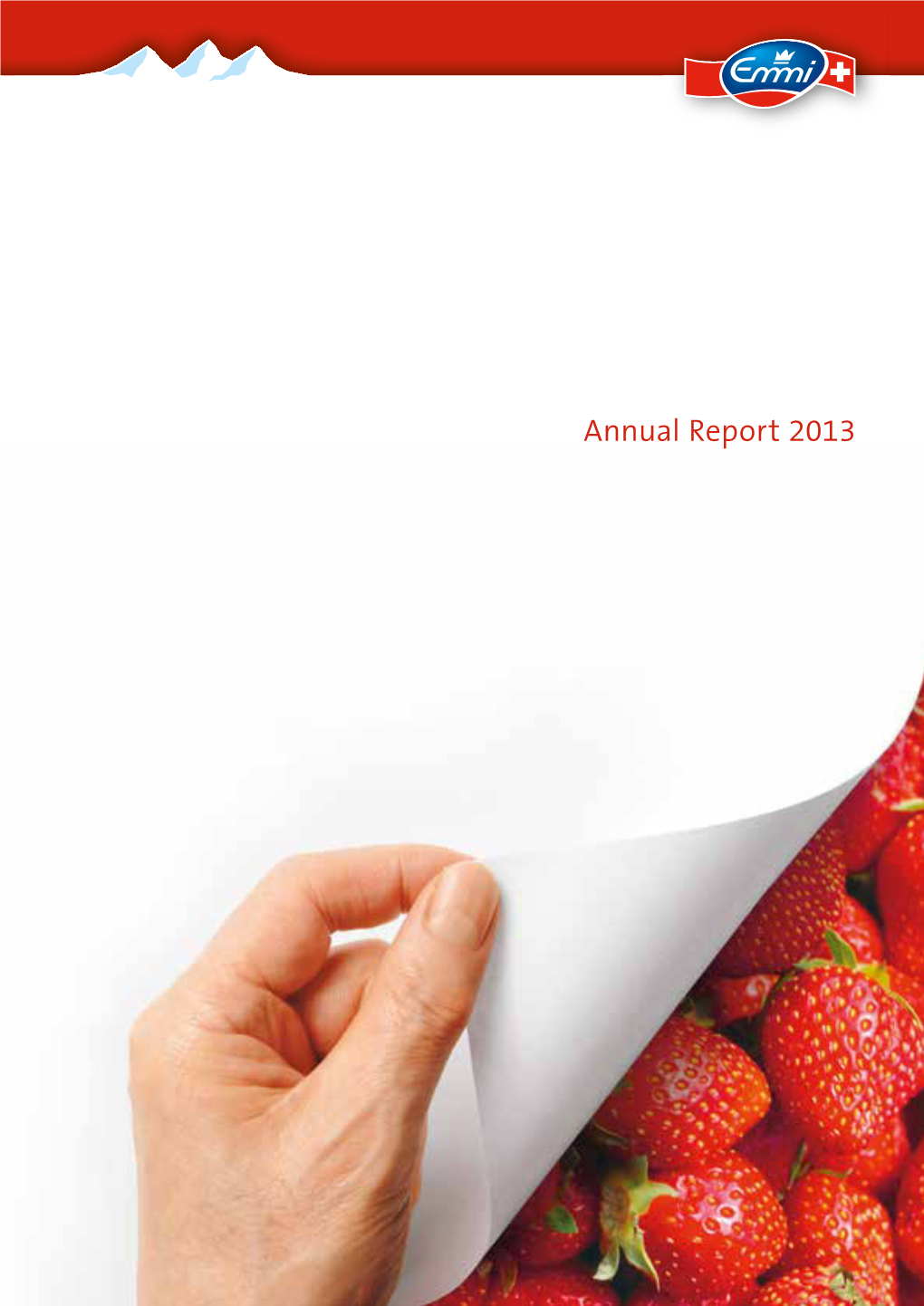 Annual Report 2013 Emmi in Brief
