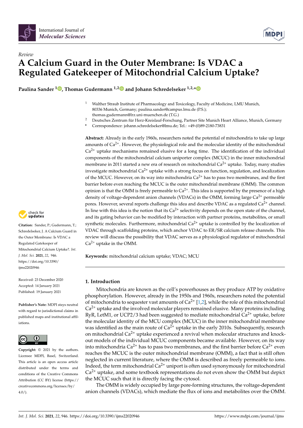 Is VDAC a Regulated Gatekeeper of Mitochondrial Calcium Uptake?