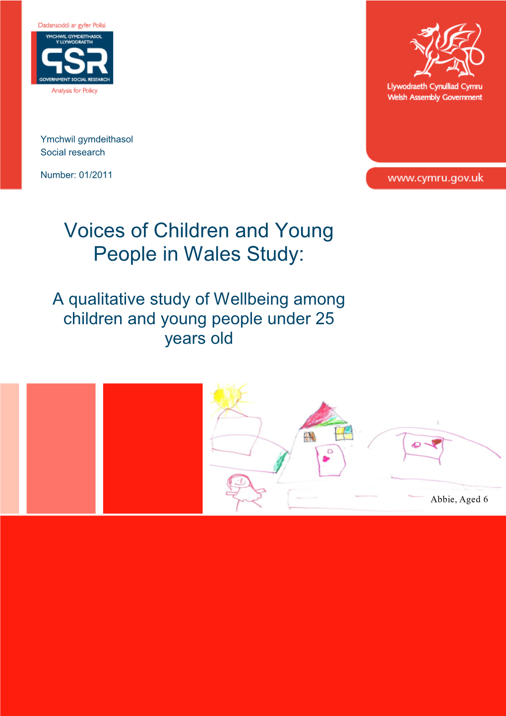 Voices of Children and Young People in Wales Study