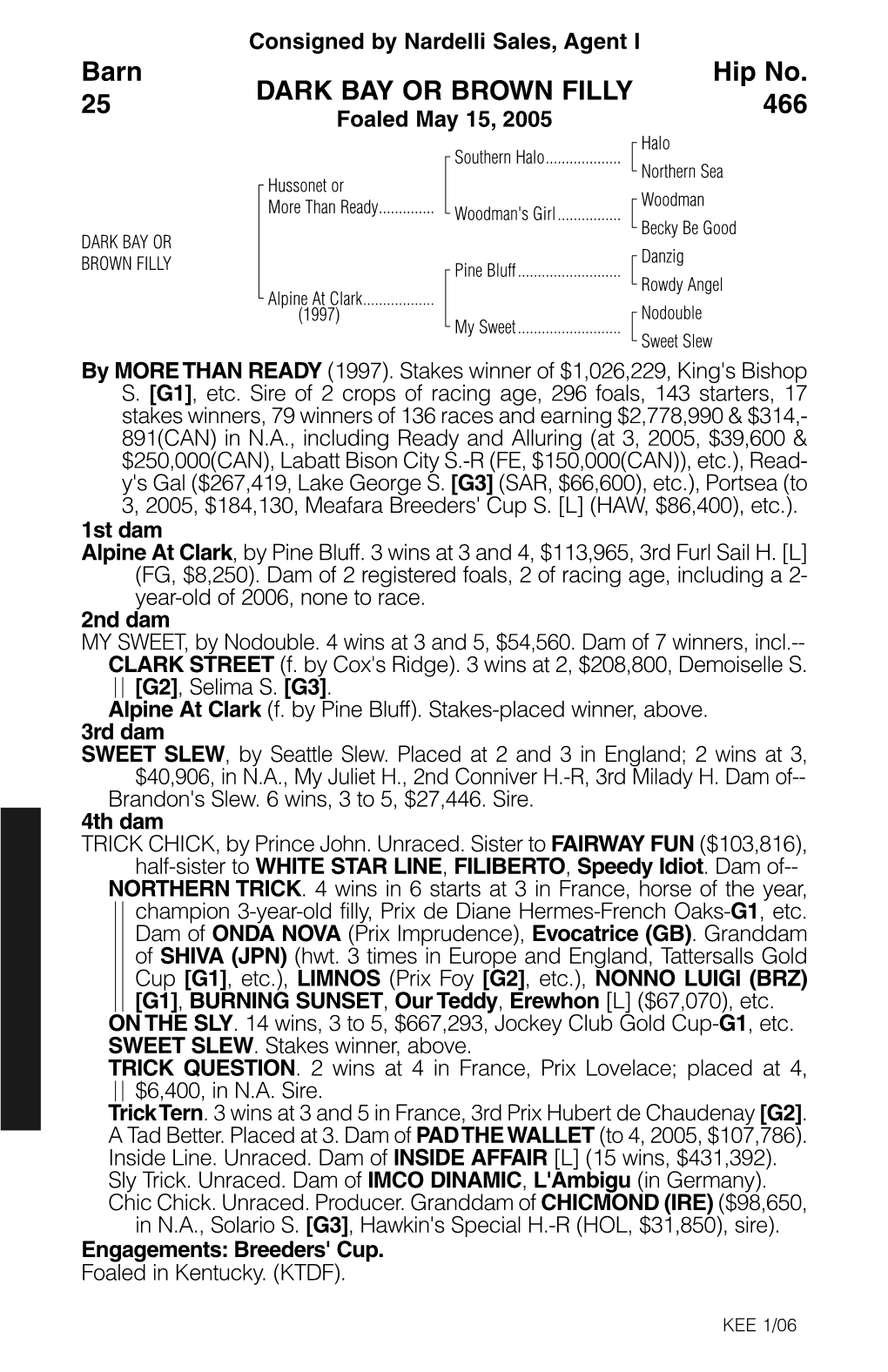 DARK BAY OR BROWN FILLY Barn 25 Hip No