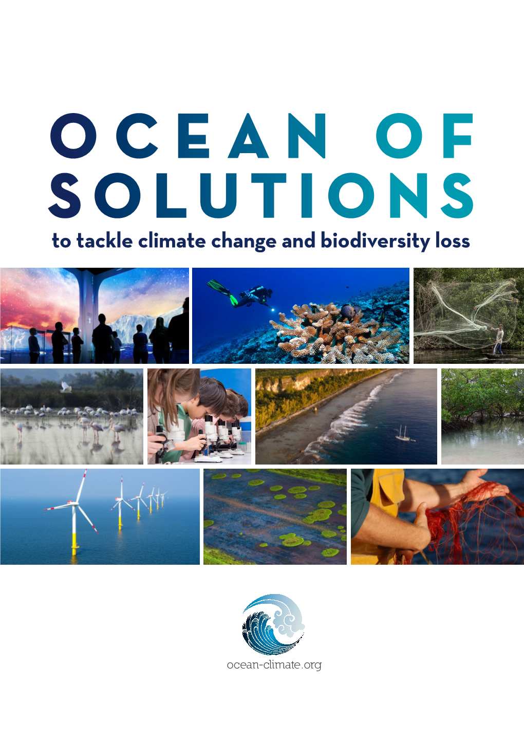 Ocean of Solutions to Tackle Climate Change and Biodiversity Loss