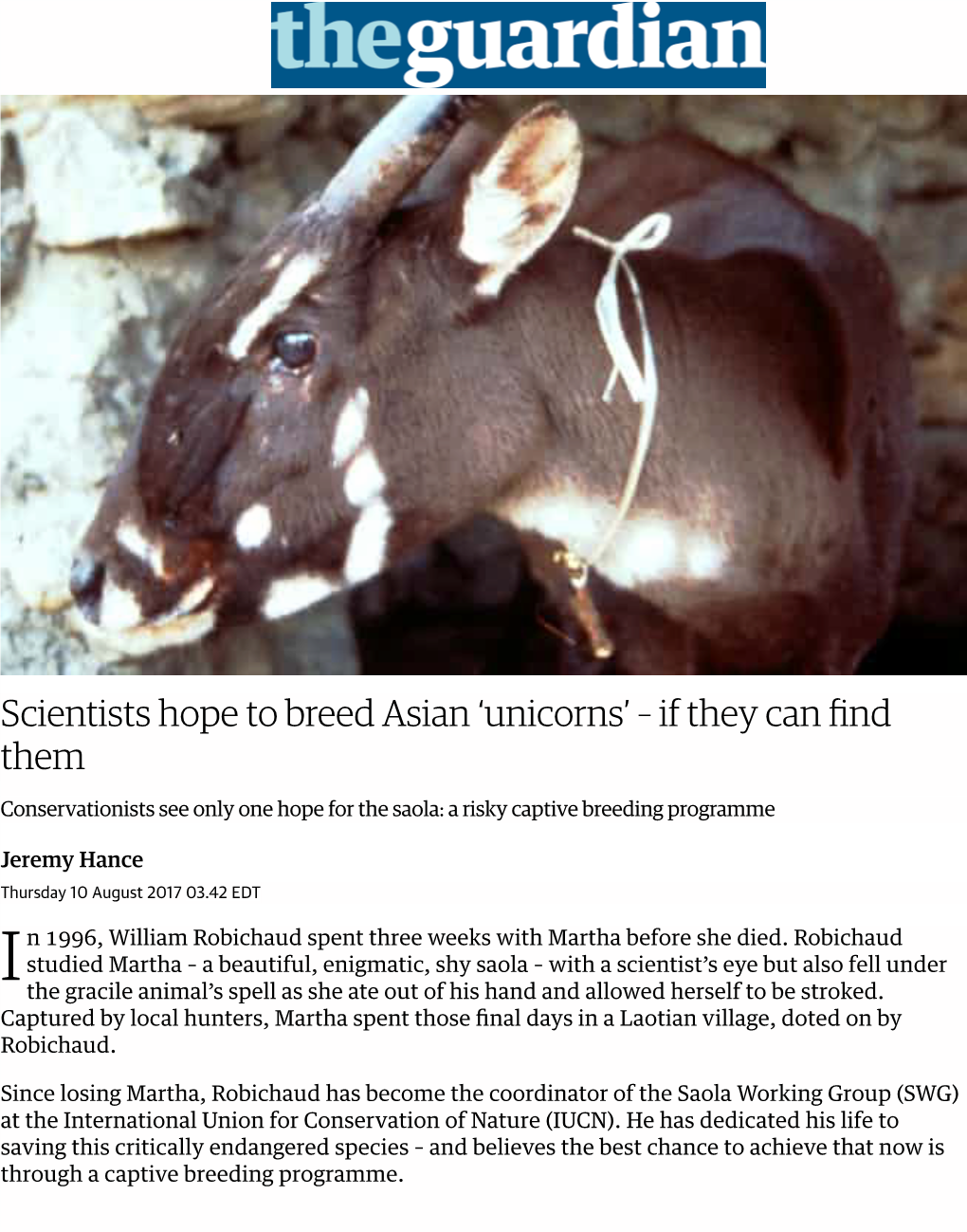 Scientists Hope to Breed Asian 'Unicorns' – If They Can Find Them