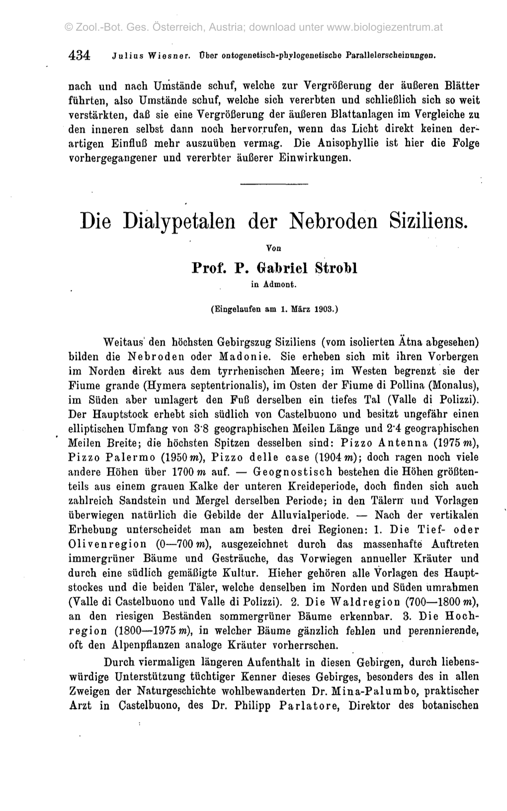 Die Dialypetalen Der Nebroden Siziliens