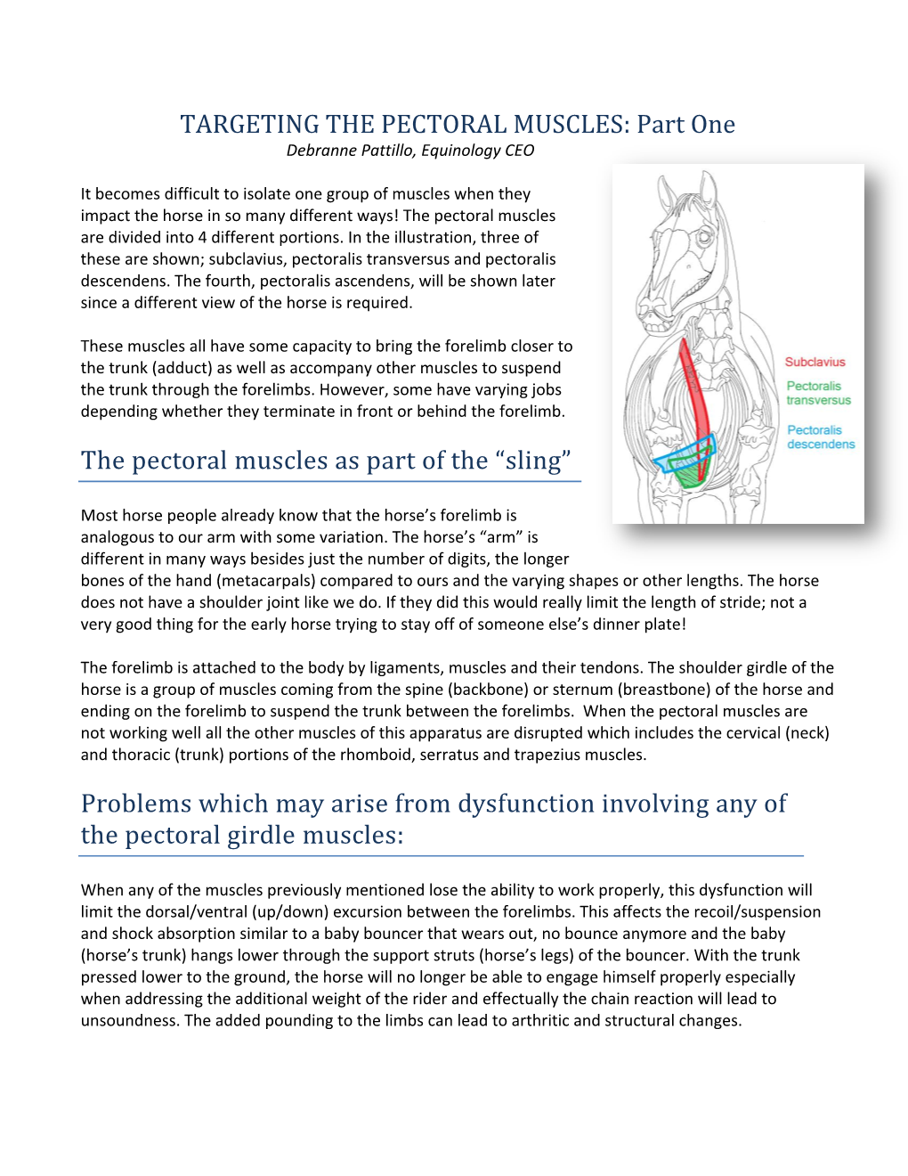 TARGETING the PECTORAL MUSCLES: Part One Debranne Pattillo, Equinology CEO