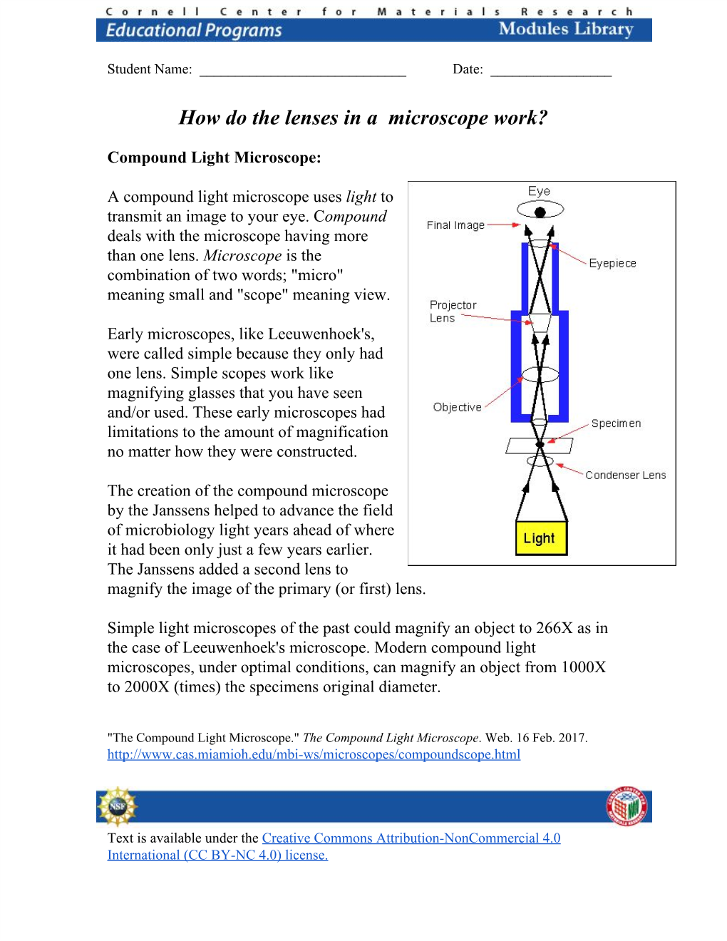 How Do the Lenses in a Microscope Work?