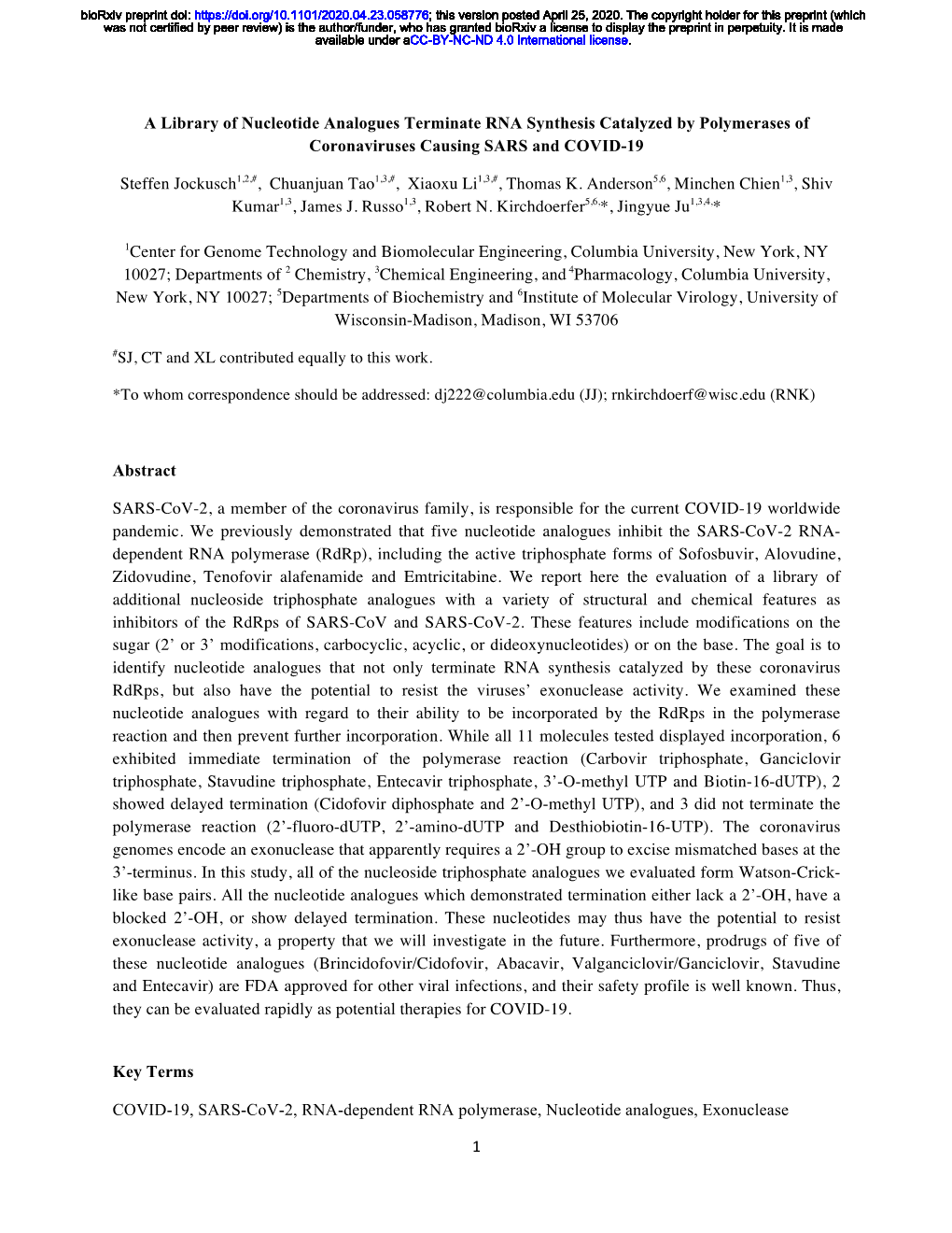 A Library of Nucleotide Analogues Terminate RNA Synthesis Catalyzed by Polymerases of Coronaviruses Causing SARS and COVID-19