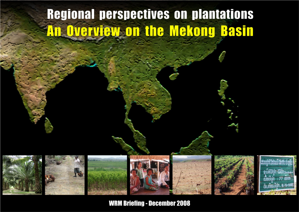 Tree Plantations in the Mekong Region