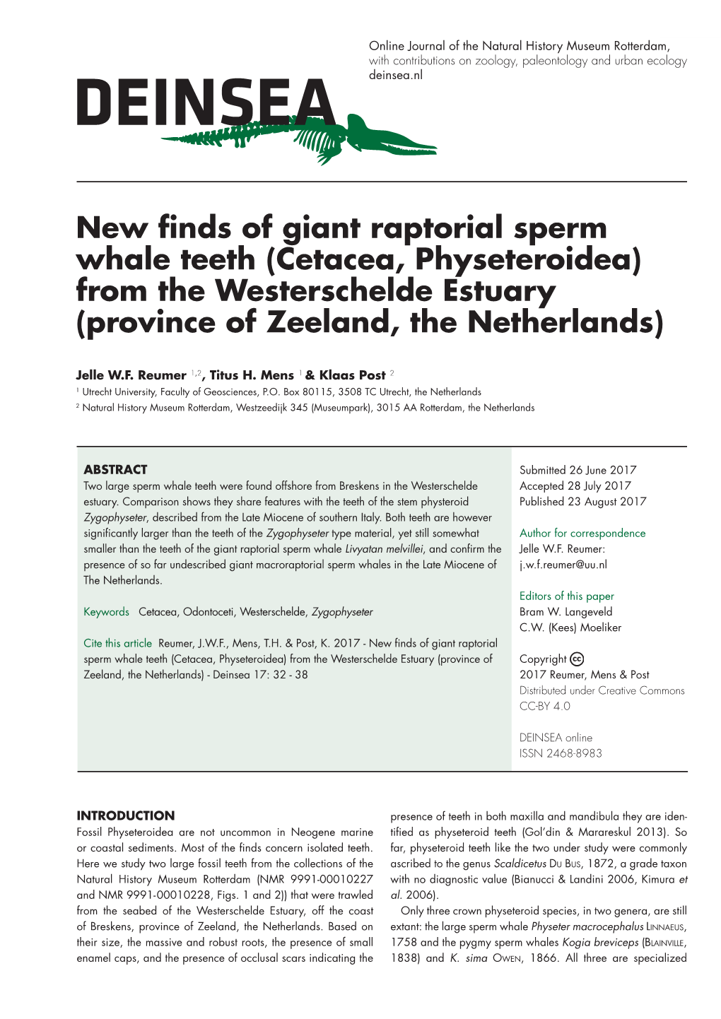 New Finds of Giant Raptorial Sperm Whale Teeth (Cetacea, Physeteroidea) from the Westerschelde Estuary (Province of Zeeland, the Netherlands)