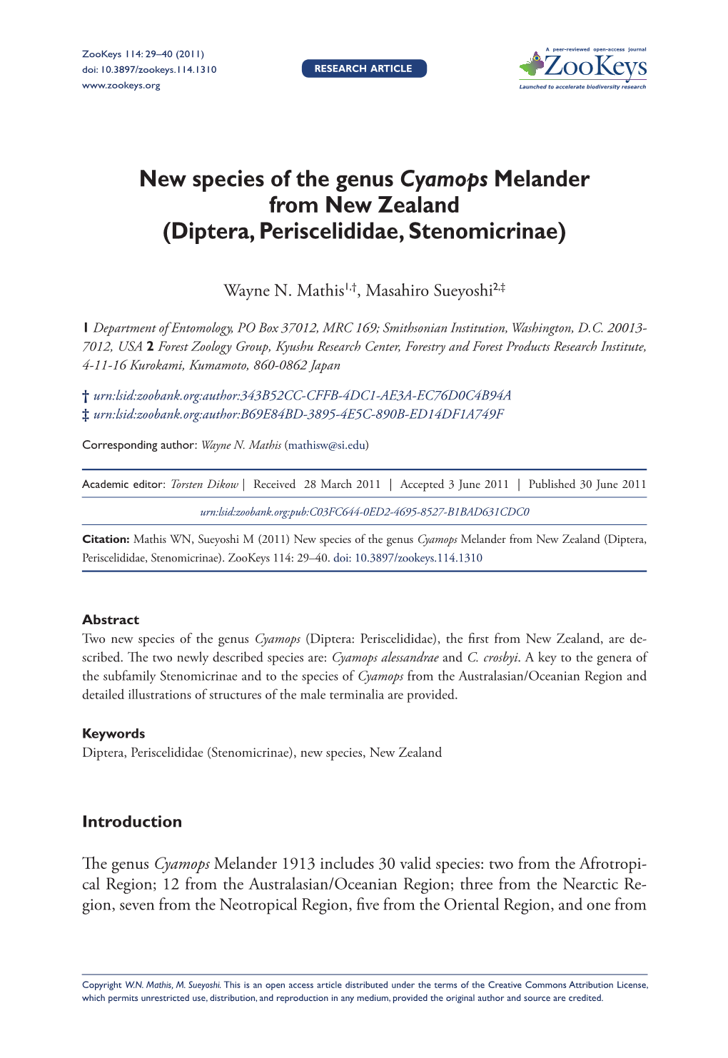New Species of the Genus Cyamops Melander from New Zealand (Diptera, Periscelididae, Stenomicrinae)