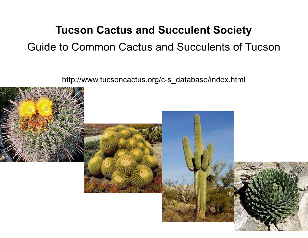 Tucson Cactus and Succulent Society Guide to Common Cactus and Succulents of Tucson