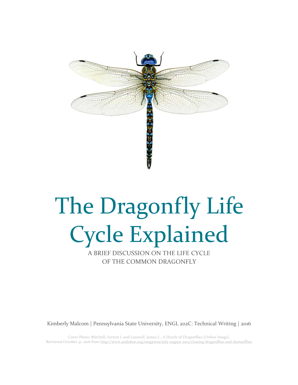 Life Cycle of a Dragonfly, and Will Be Broken Down Into Sections Based on the Chronological Life Stages of This Insect