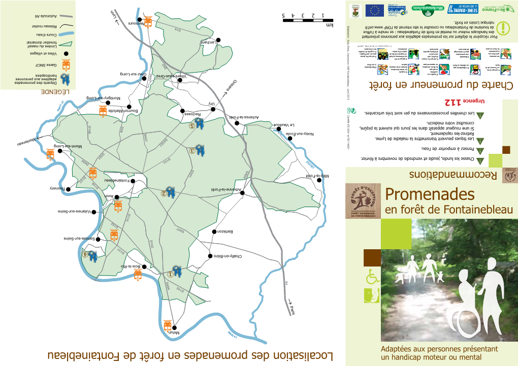 Promenades En Forêt De Fontainebleau