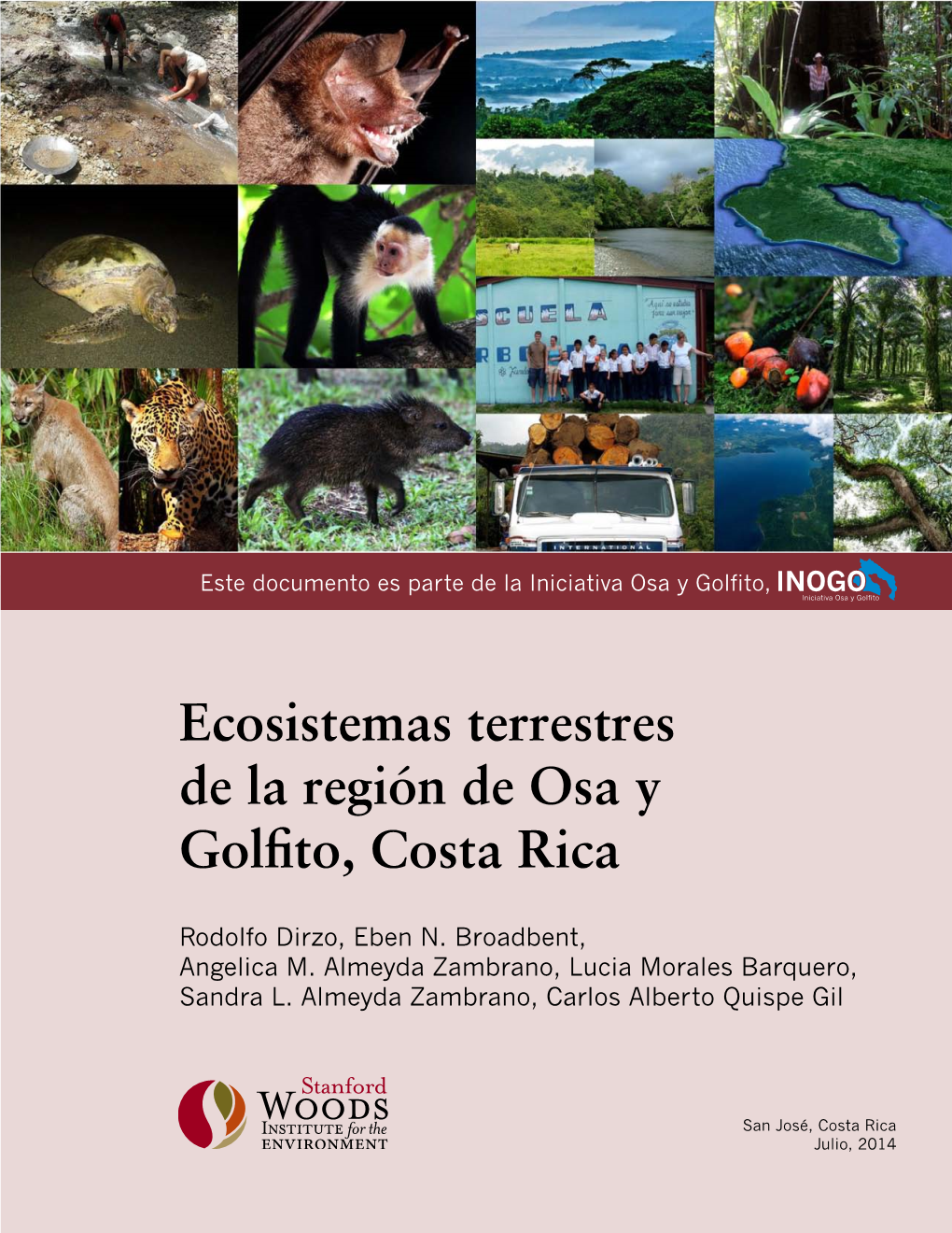 Ecosistemas Terrestres De La Región De Osa Y Golfito, Costa Rica