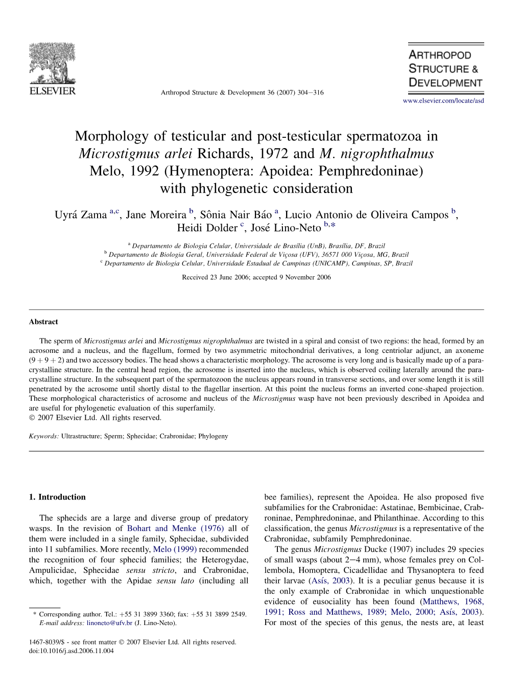 Morphology of Testicular and Post-Testicular Spermatozoa in Microstigmus Arlei Richards, 1972 and M