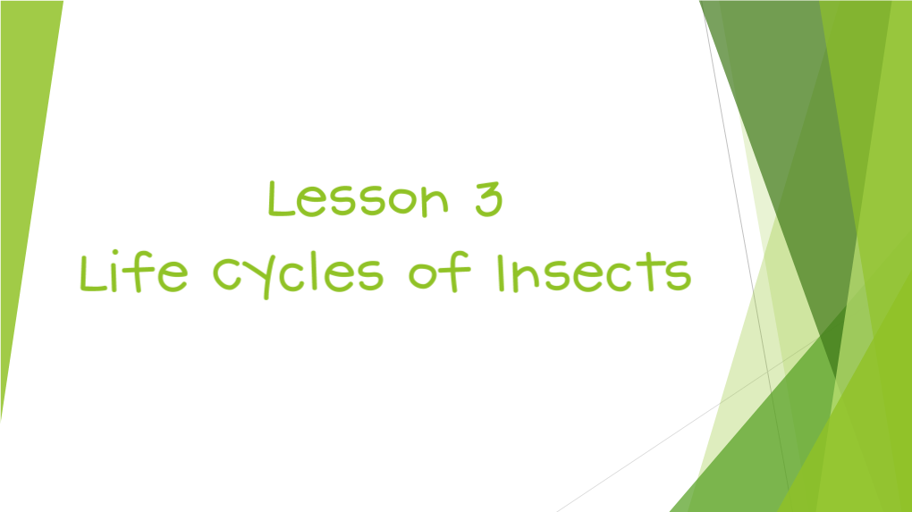 Lesson 3 Life Cycles of Insects