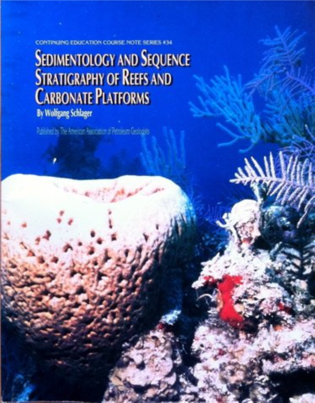 Carbonates Versus Siliciclastics in Sequence Stratigraphy