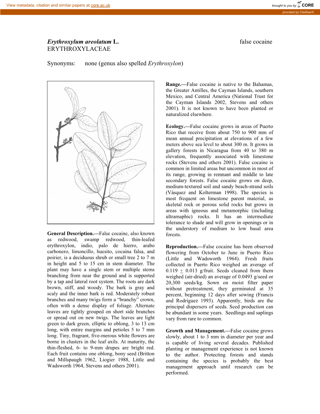 Erythroxylum Areolatum L. False Cocaine ERYTHROXYLACEAE