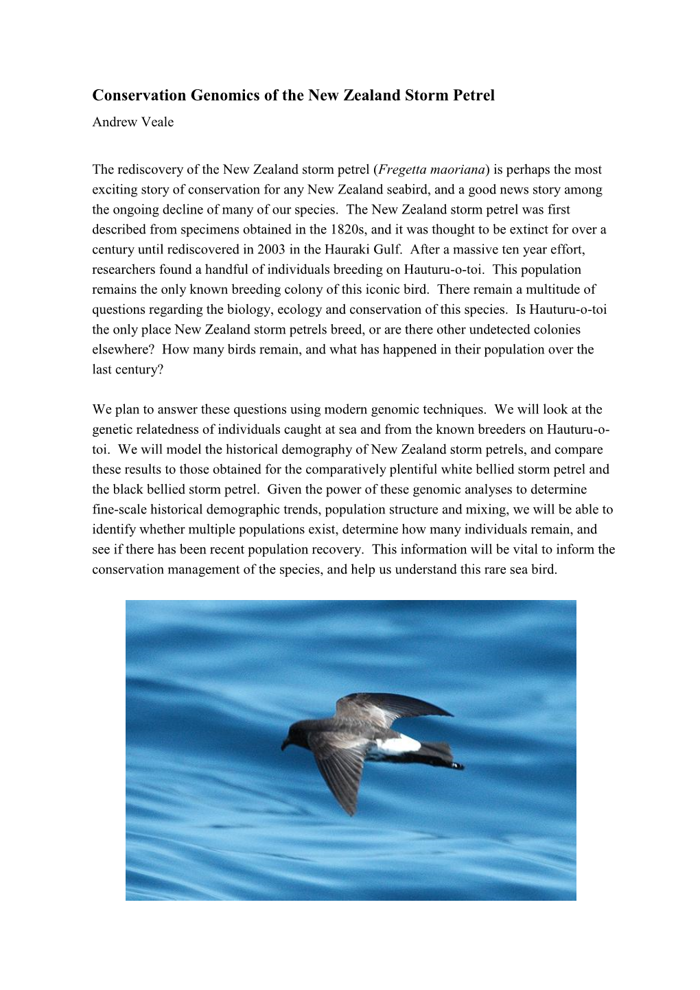 Conservation Genomics of the New Zealand Storm Petrel Andrew Veale