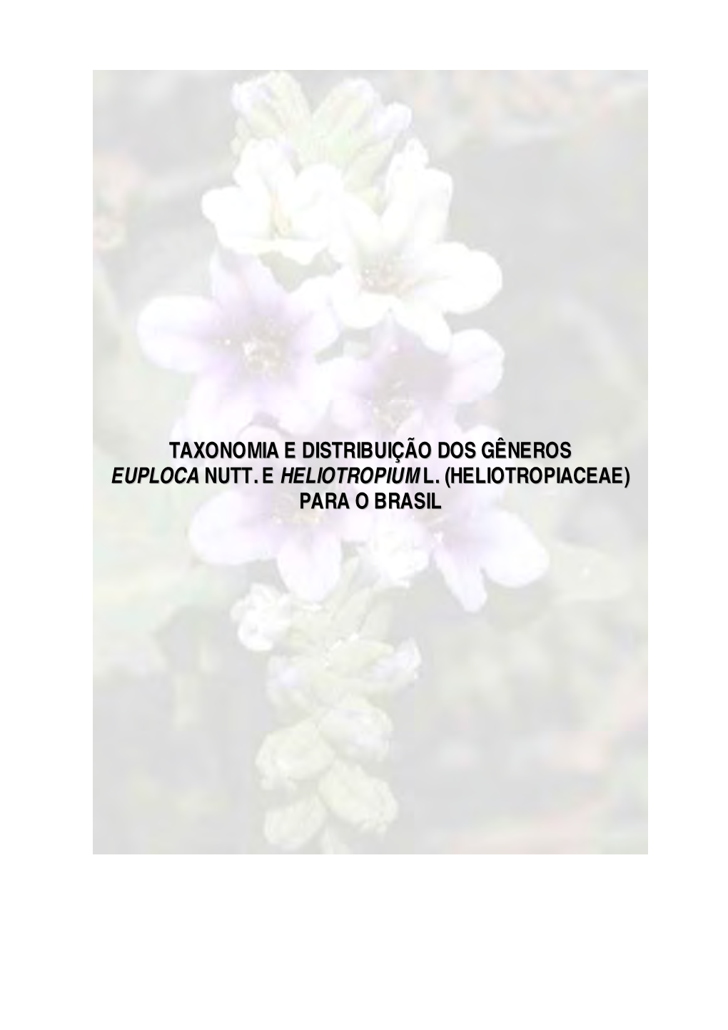 Taxonomia E Distribuição Dos Gêneros Euploca Nutt.E Heliotropiuml