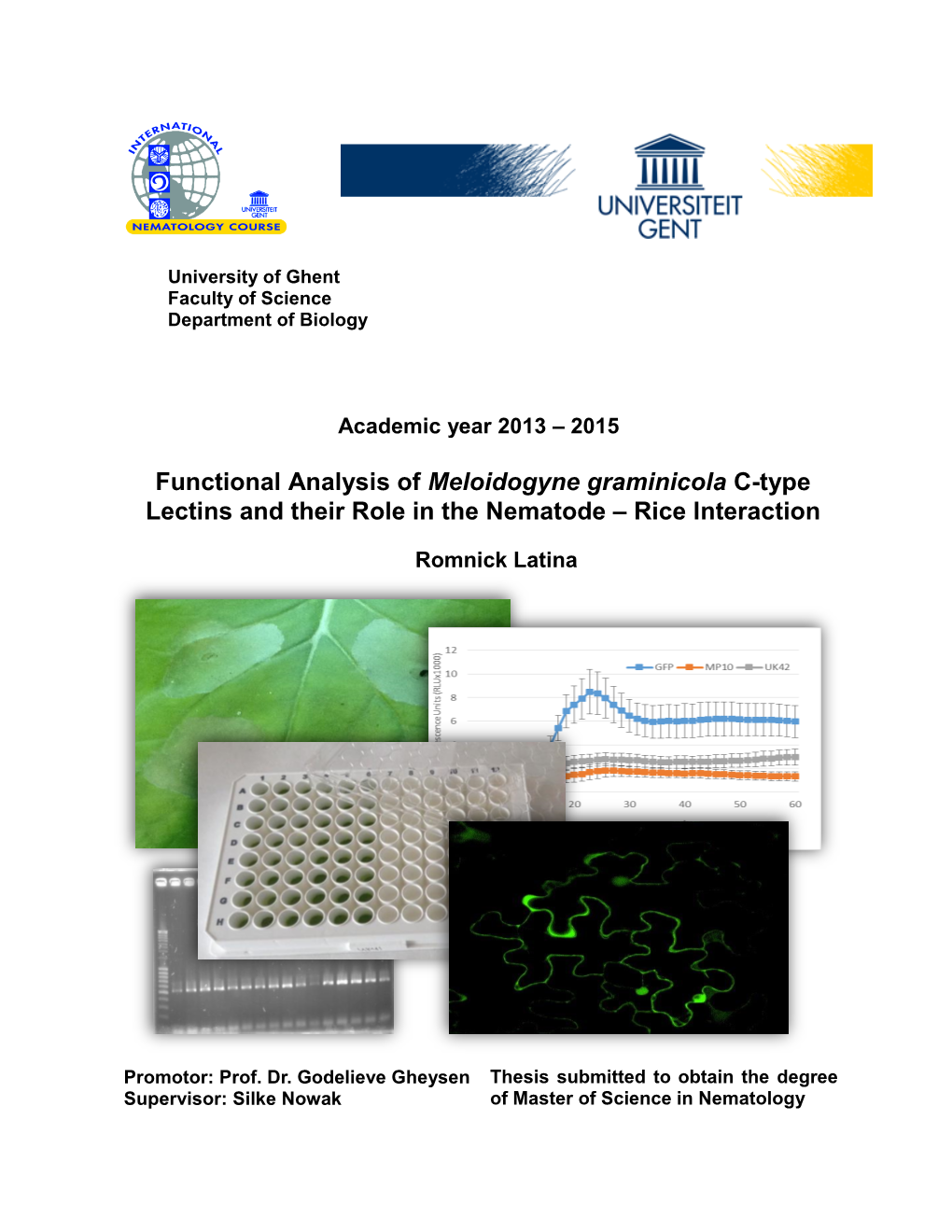 Functional Analysis of Meloidogyne Graminicola C-Type Lectins and Their Role in the Nematode – Rice Interaction