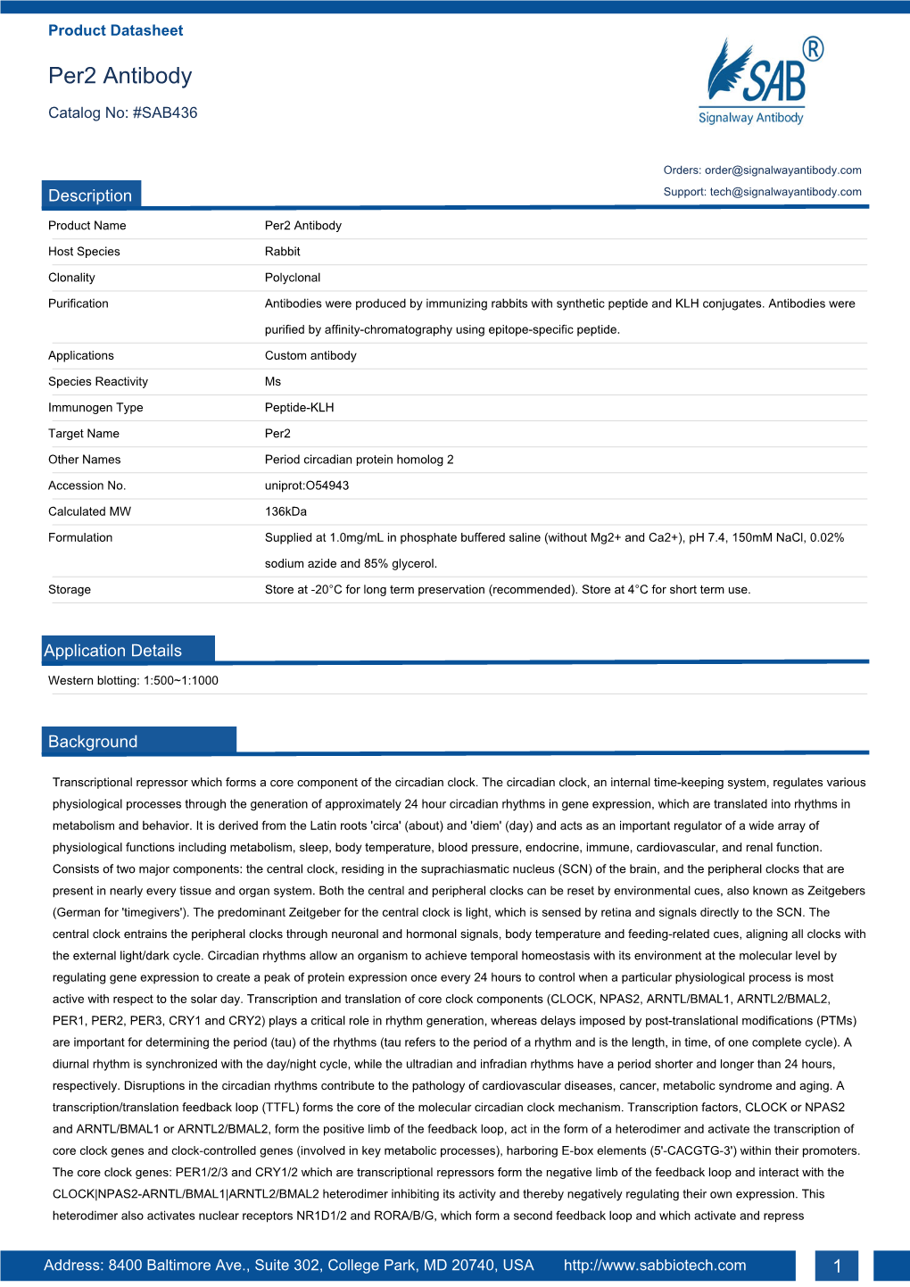 Per2 Antibody