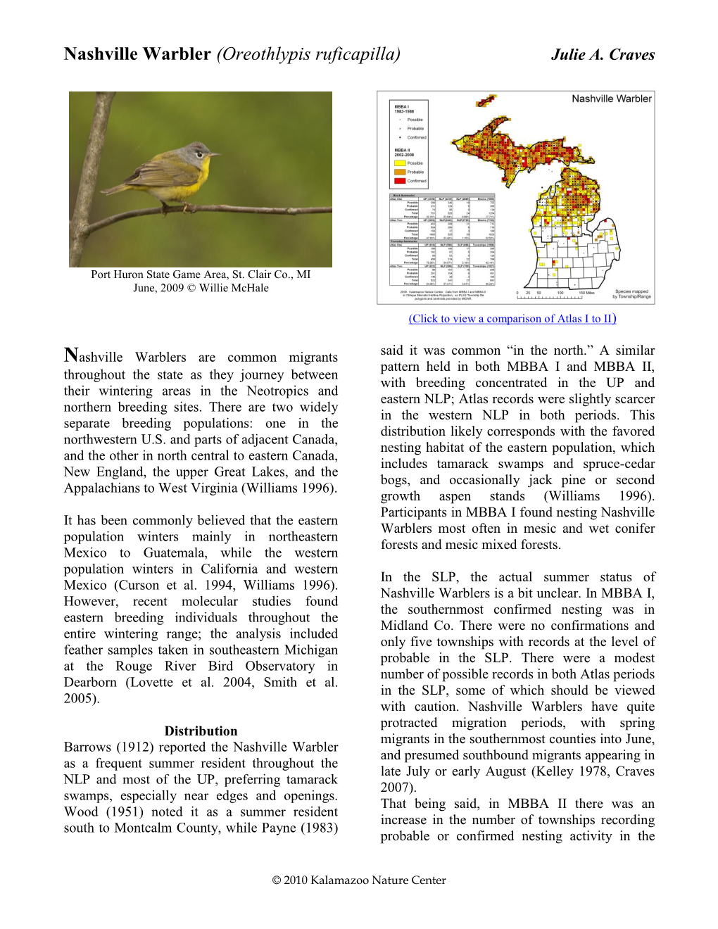 Nashville Warbler (Oreothlypis Ruficapilla) Julie A