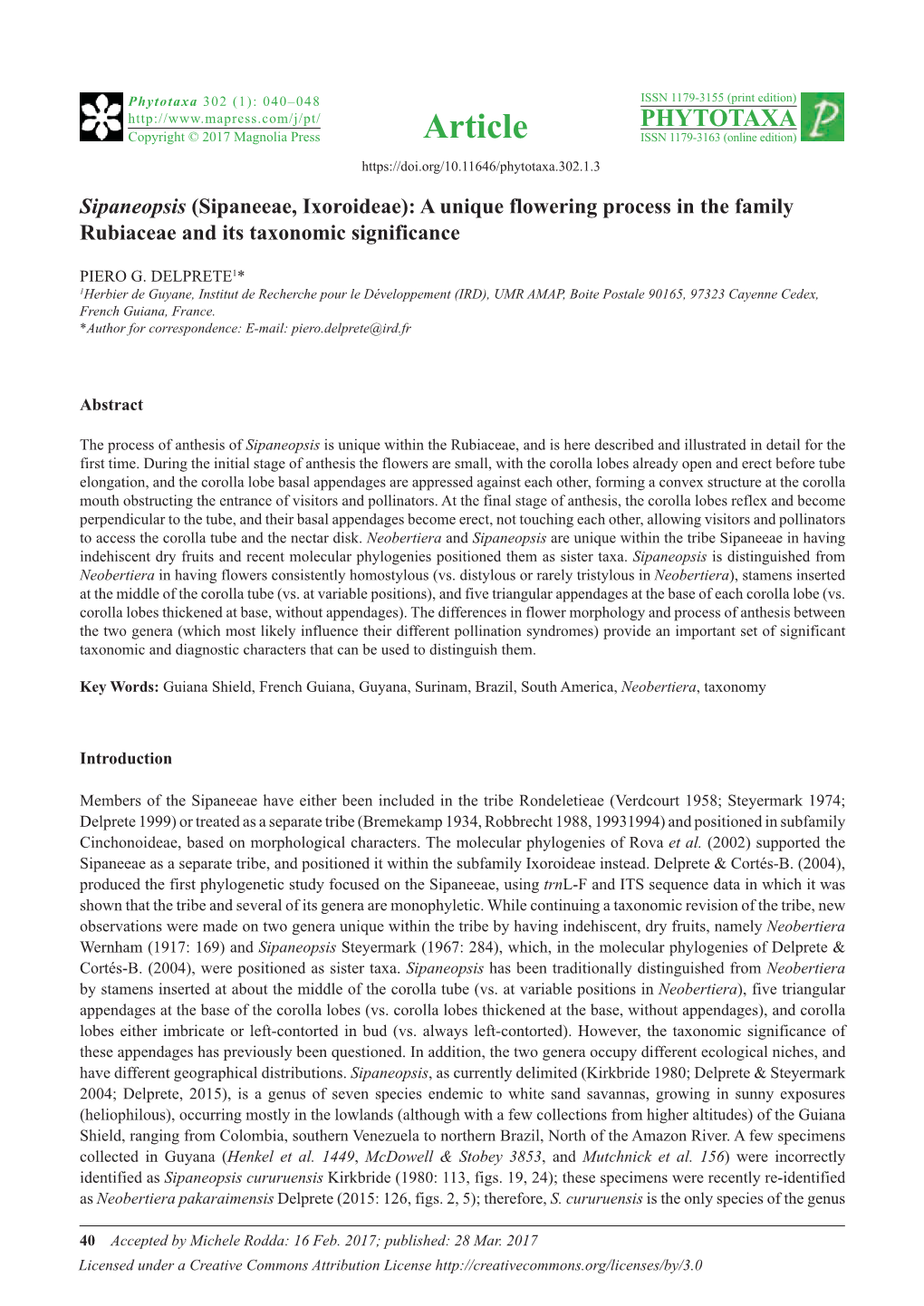 Sipaneopsis (Sipaneeae, Ixoroideae): a Unique Flowering Process in the Family Rubiaceae and Its Taxonomic Significance