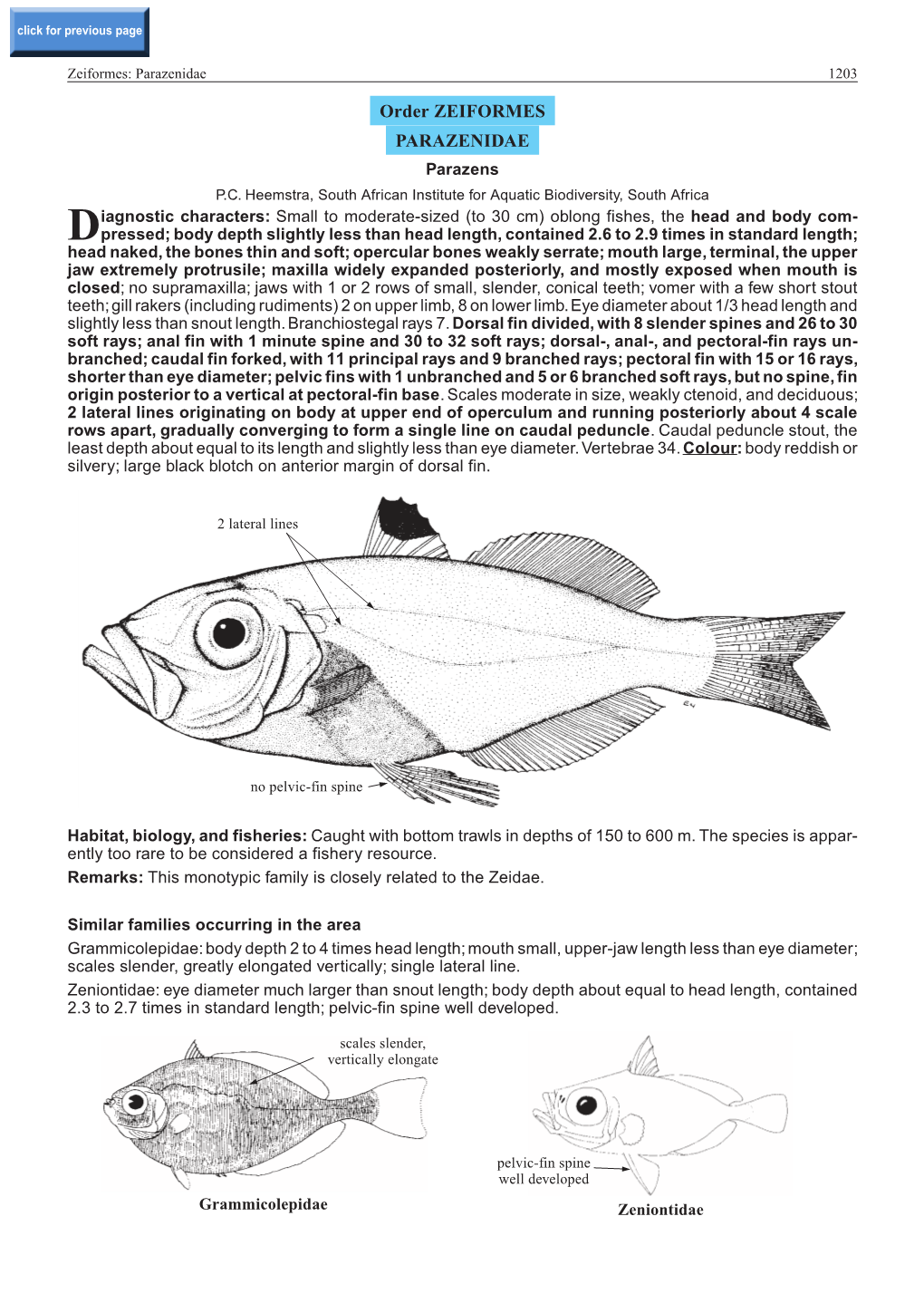 Order ZEIFORMES PARAZENIDAE Parazens P.C