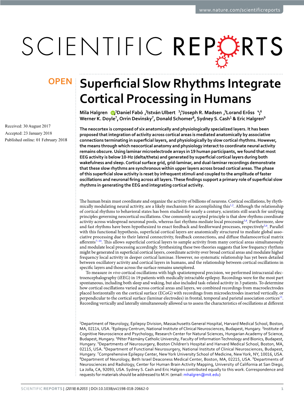 Superficial Slow Rhythms Integrate Cortical Processing in Humans