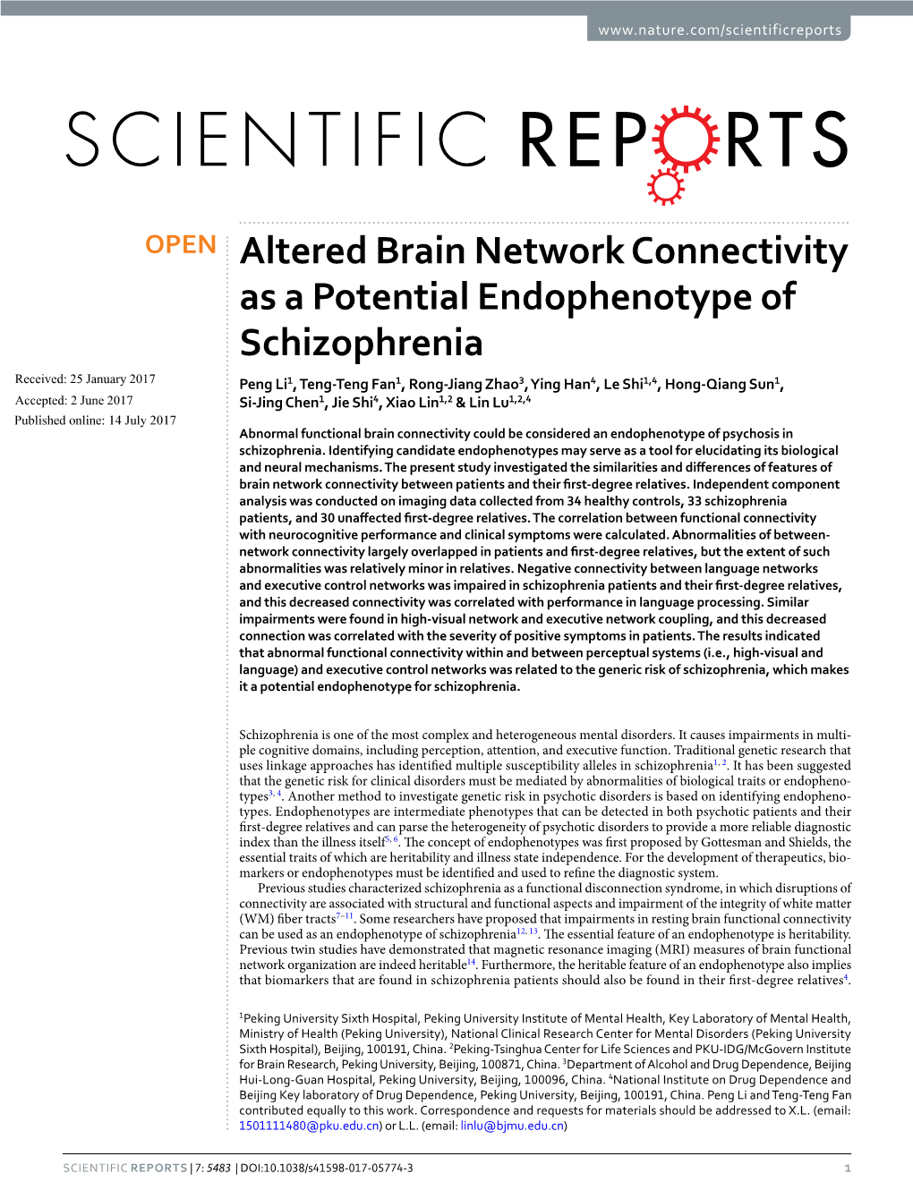 Altered Brain Network Connectivity As a Potential Endophenotype Of