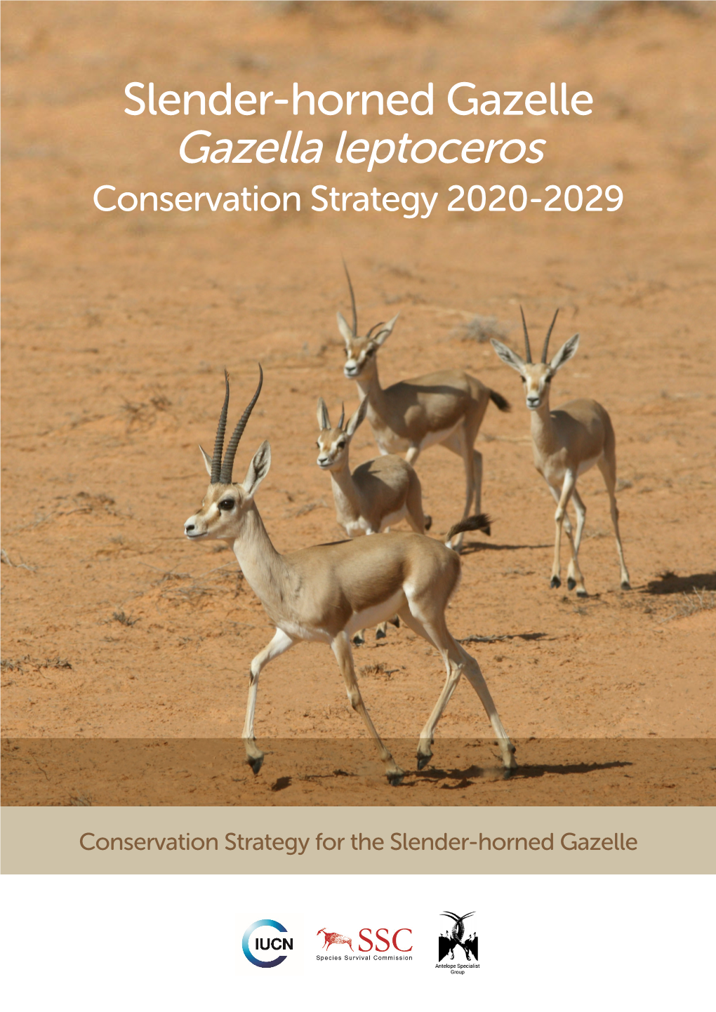 Slender-Horned Gazelle Gazella Leptoceros Conservation Strategy 2020-2029