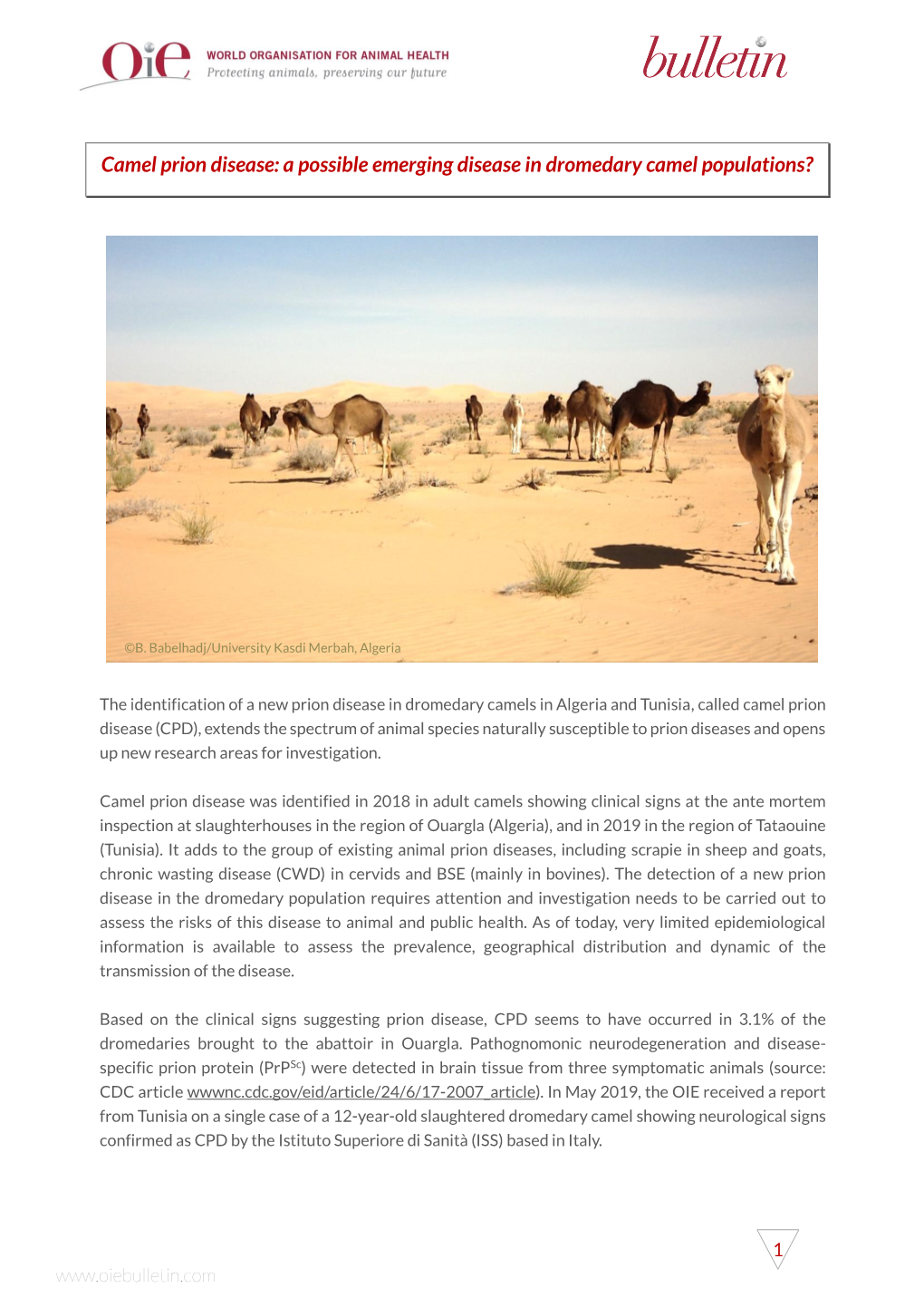 Camel Prion Disease: a Possible Emerging Disease in Dromedary Camel Populations?