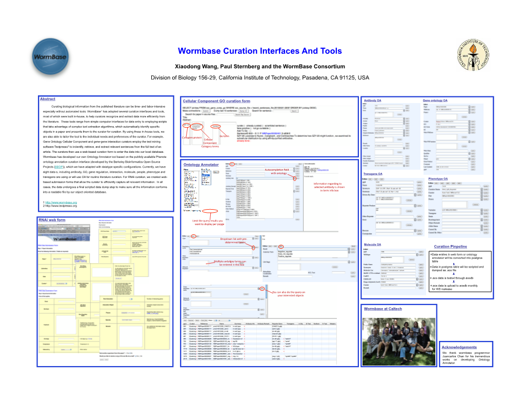 Wormbase Curation Interfaces and Tools