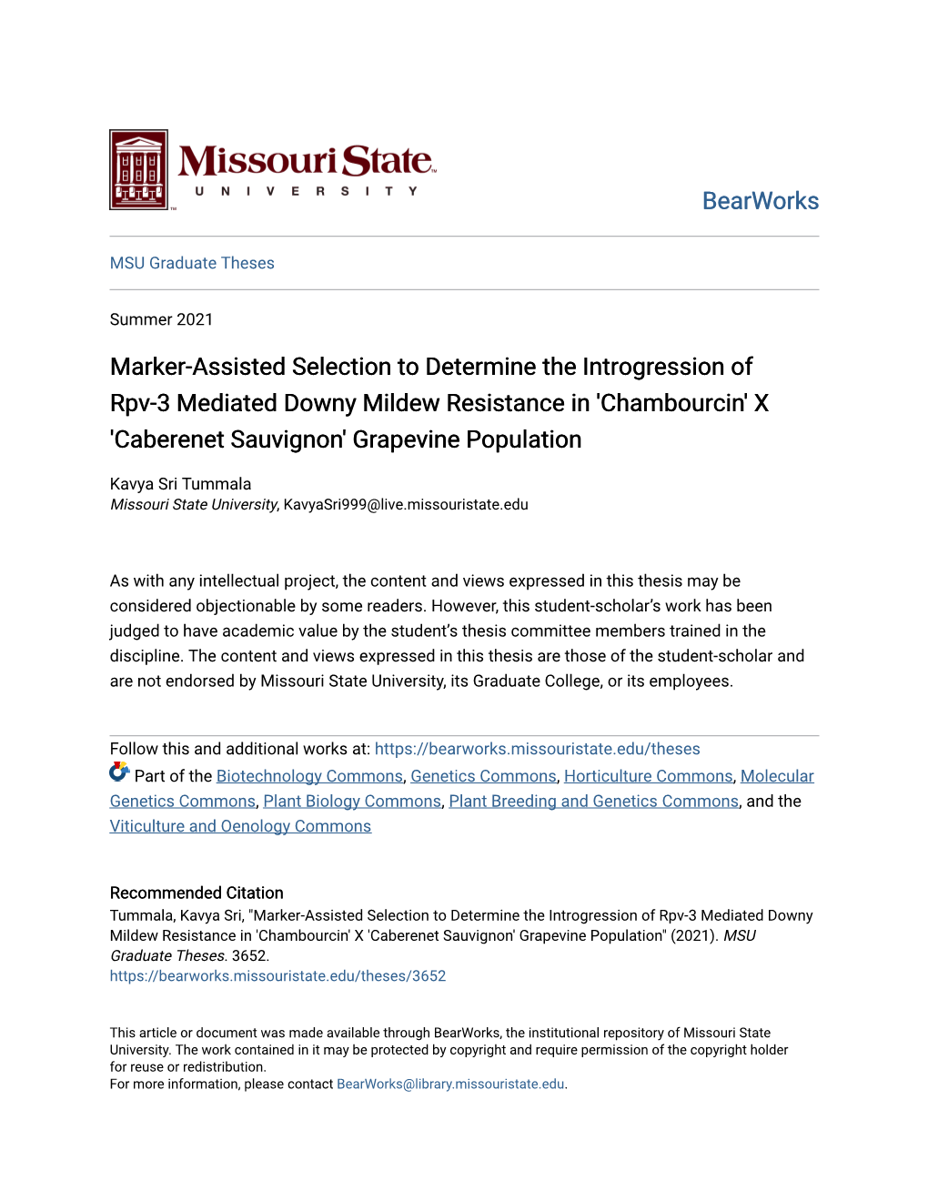 Marker-Assisted Selection to Determine the Introgression of Rpv-3 Mediated Downy Mildew Resistance in 'Chambourcin' X 'Caberenet Sauvignon' Grapevine Population