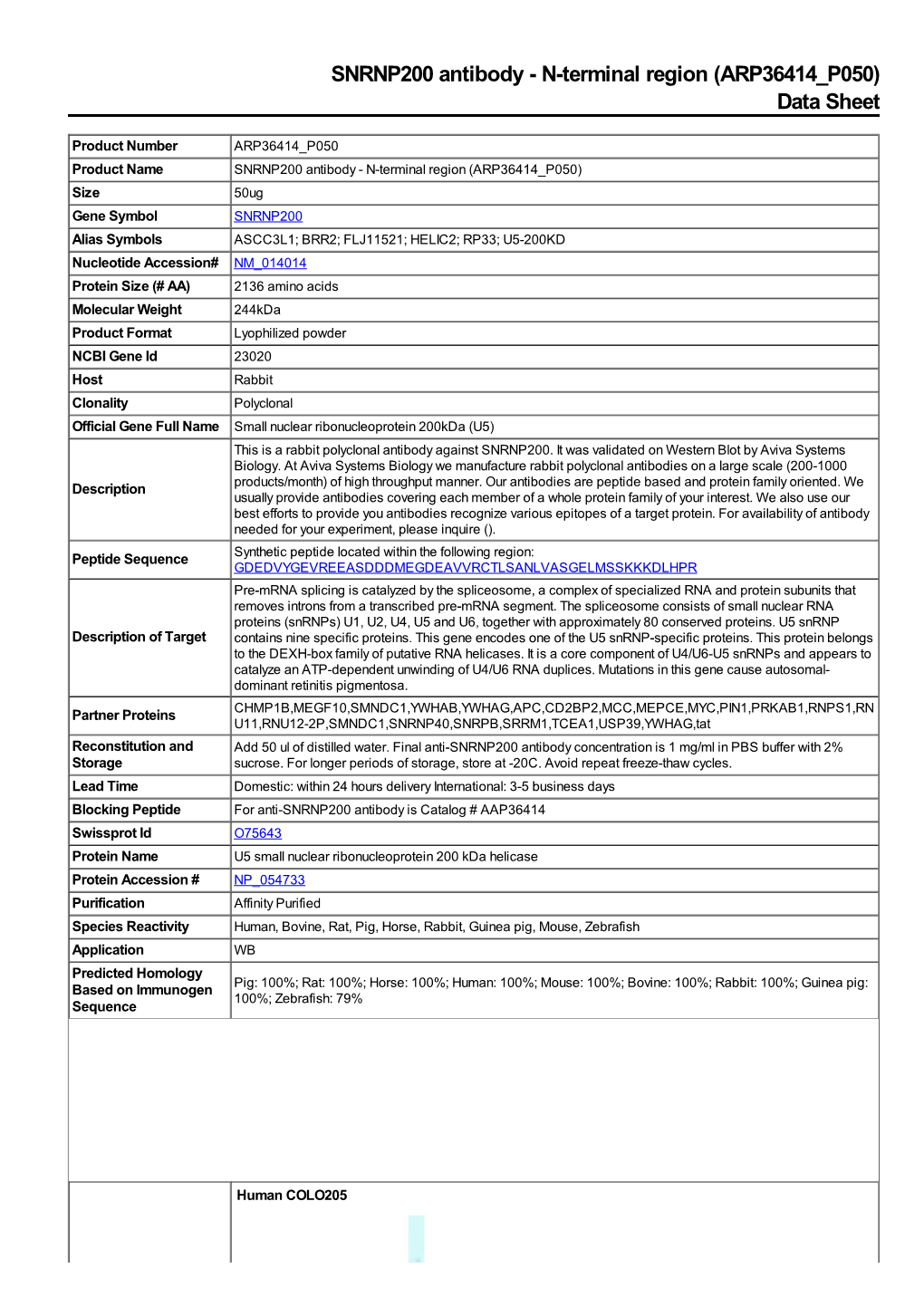 ARP36414 P050) Data Sheet