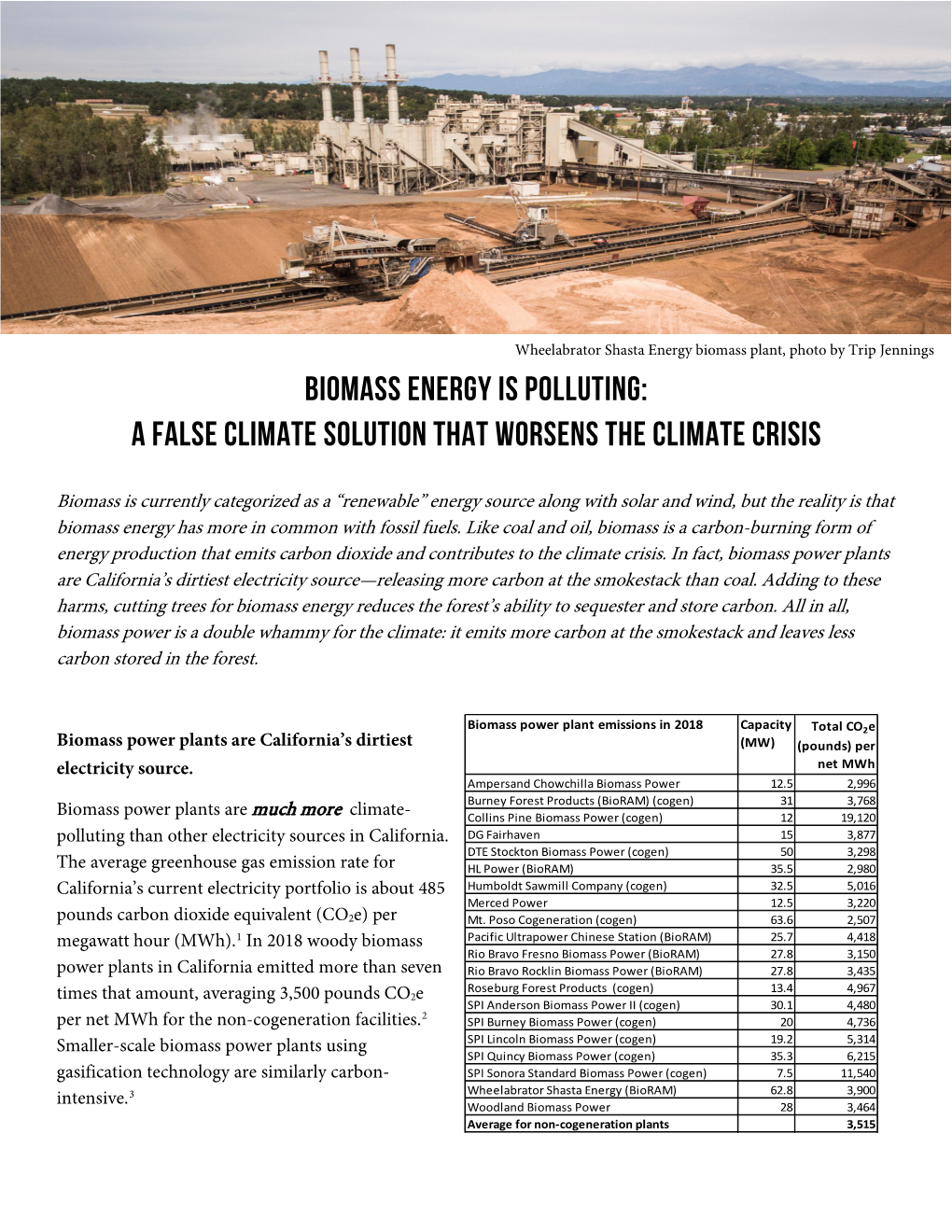 CBD Forest Bioenergy Briefing Book, Polluting the Climate