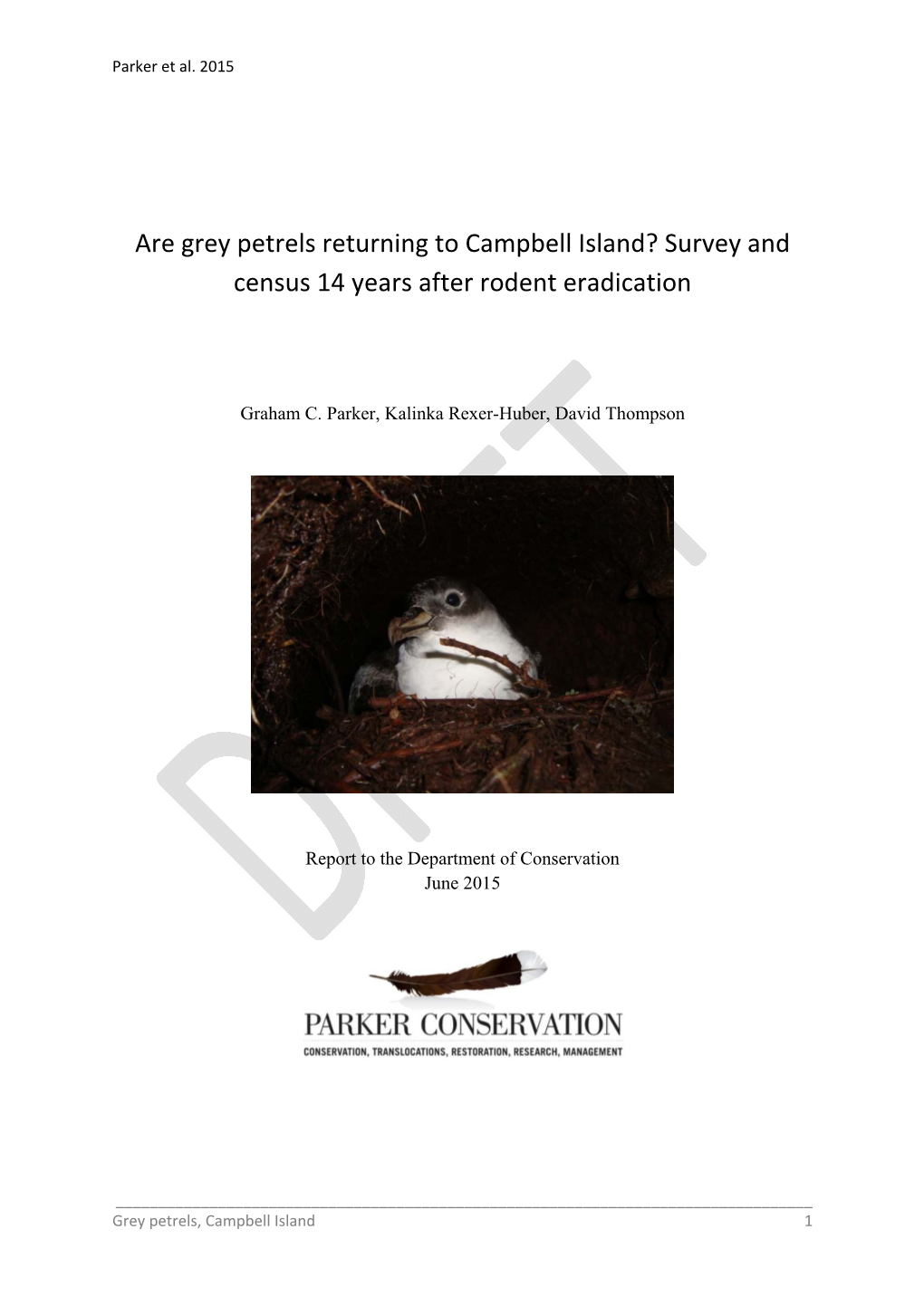 Grey Petrels Returning to Campbell Island? Survey and Census 14 Years After Rodent Eradication