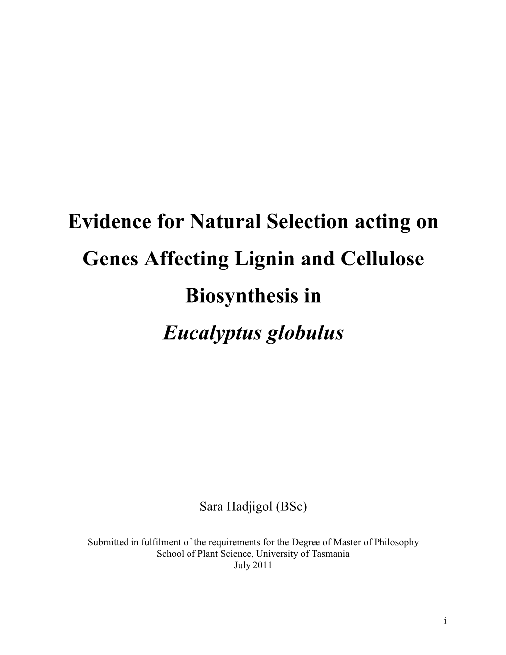 Evidence for Natural Selection Acting on Genes Affecting Lignin and Cellulose Biosynthesis in Eucalyptus Globulus