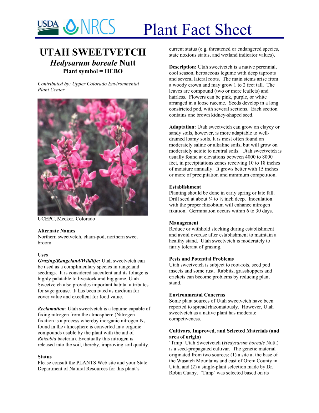 Utah Sweetvetch Plant Fact Sheet