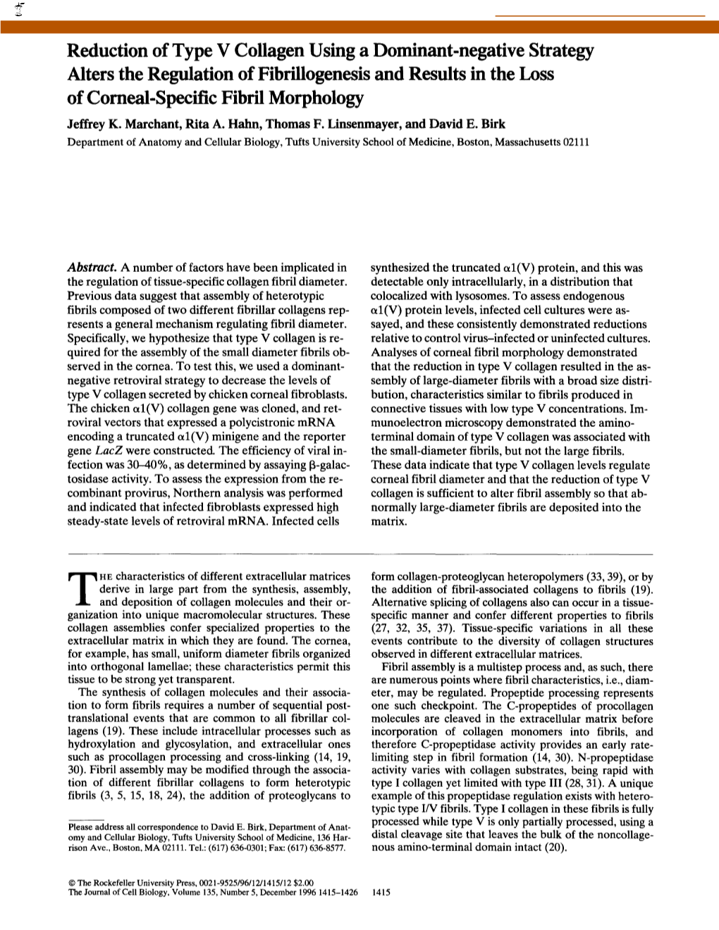 Reduction of Type V Collagen Using a Dominant-Negative