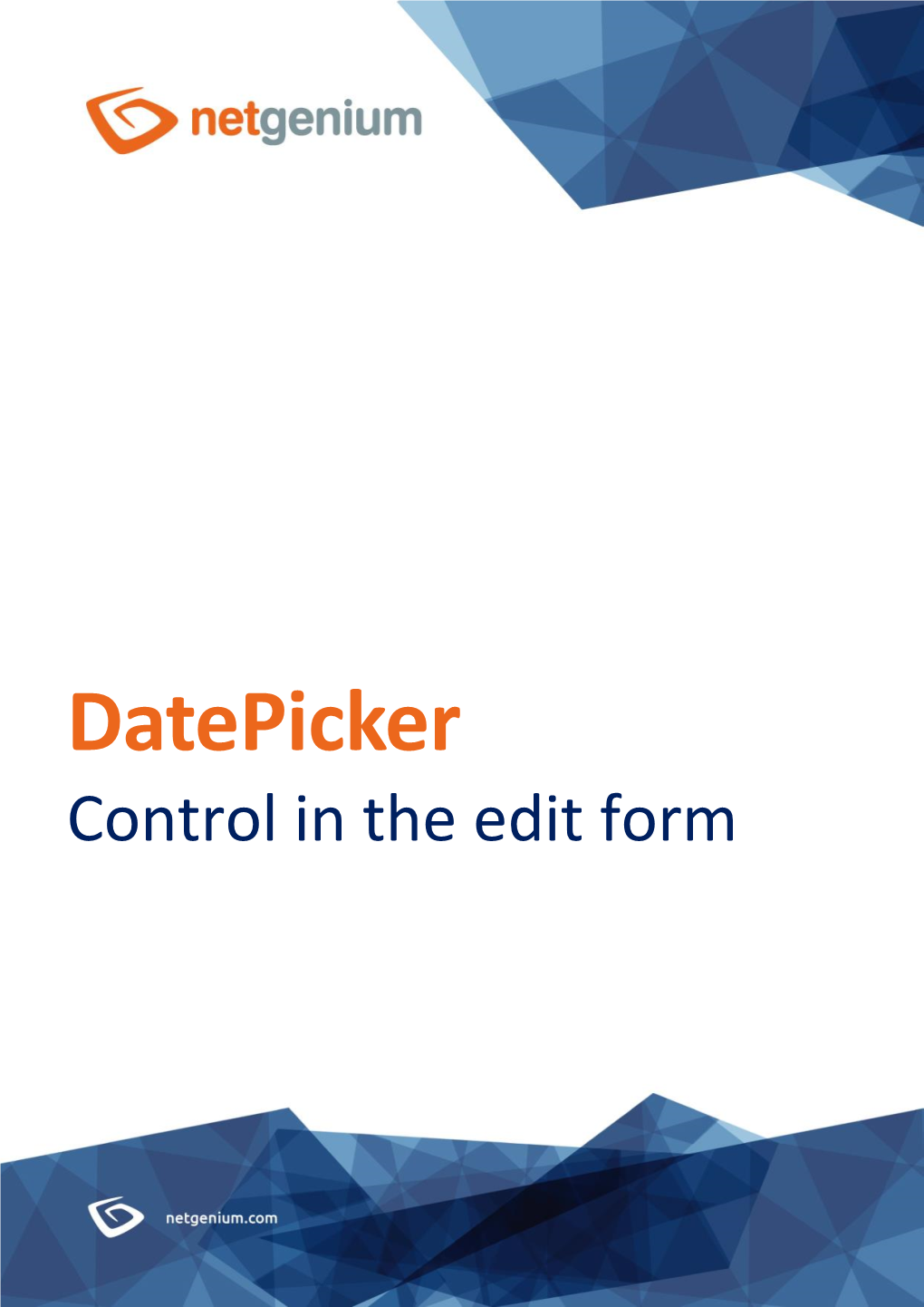 Datepicker Control in the Edit Form