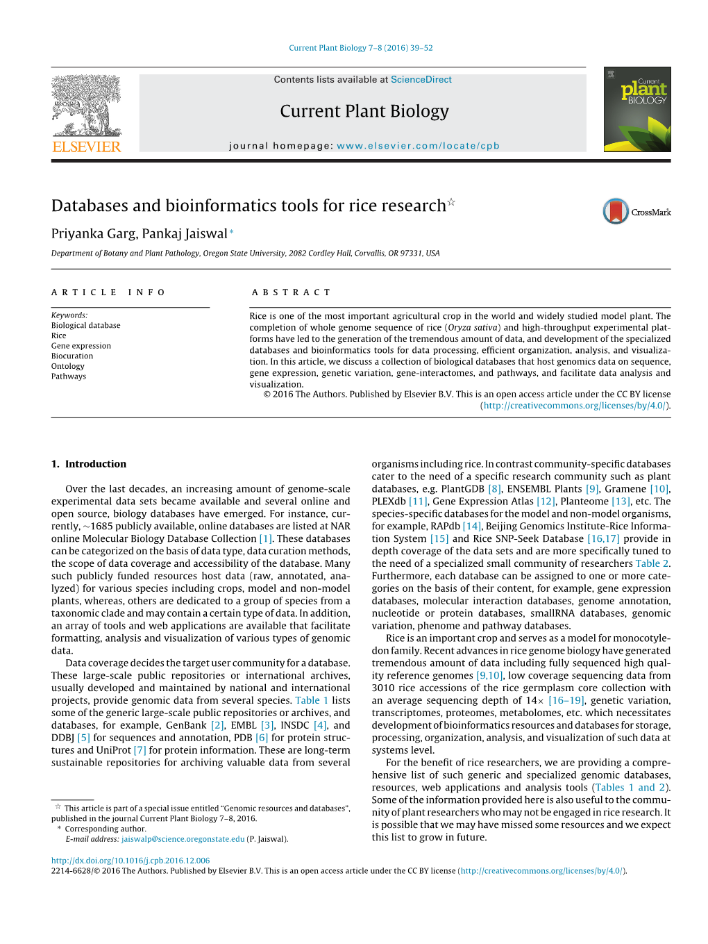 Databases and Bioinformatics Tools for Rice Research