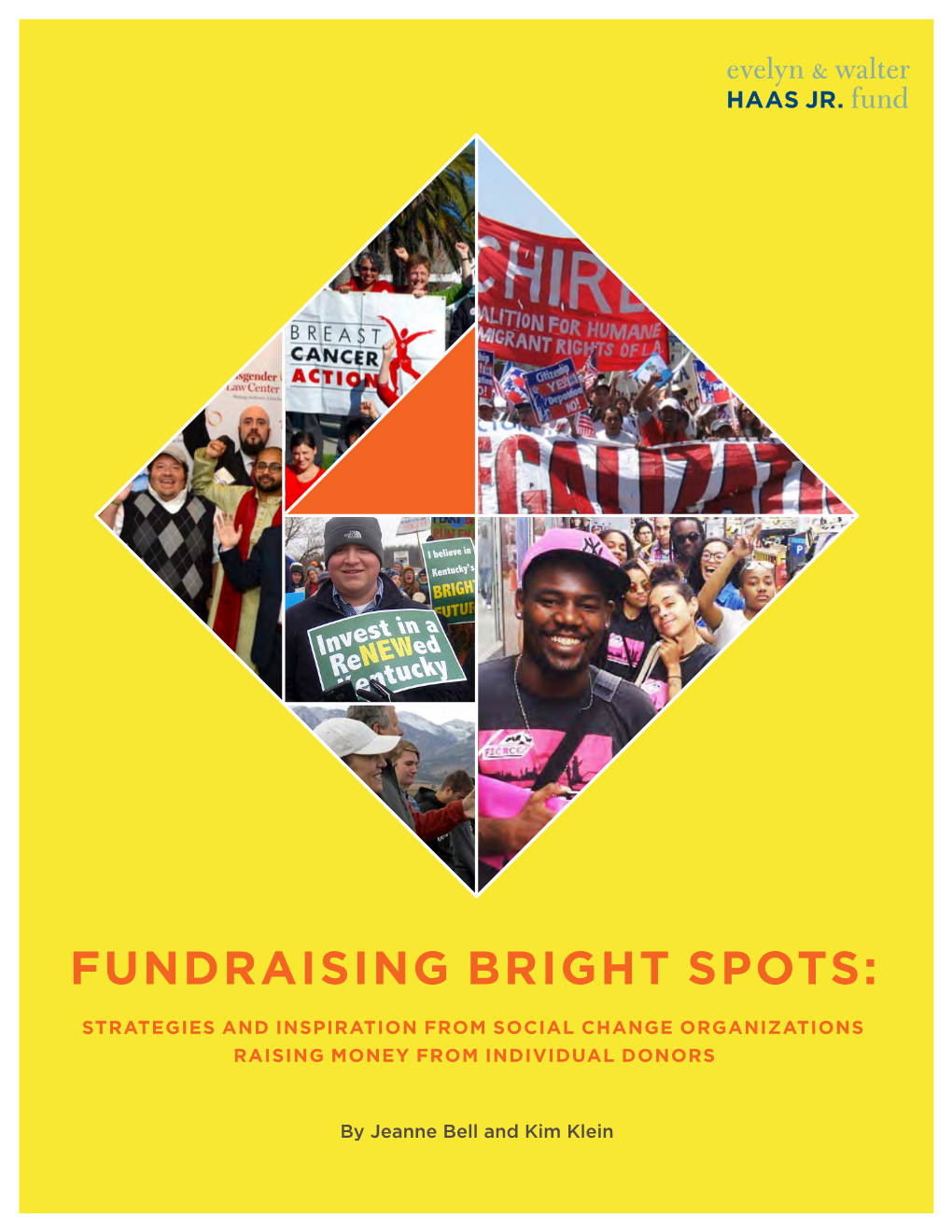 Fundraising Bright Spots