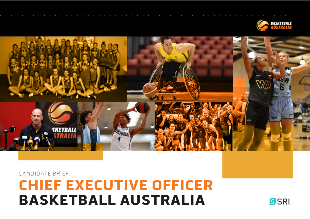 Chief Executive Officer Basketball Australia About Basketball Australia