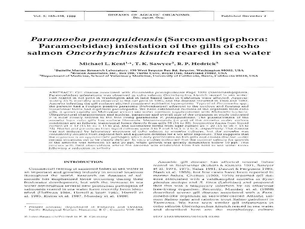 Paramoeba Pemaquidensis (Sarcomastigophora: Paramoebidae) Infestation of the Gills of Coho Salmon Oncorhynchus Kisutch Reared in Sea Water