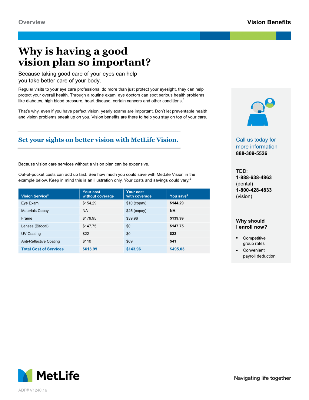 Metlife Vision Overview